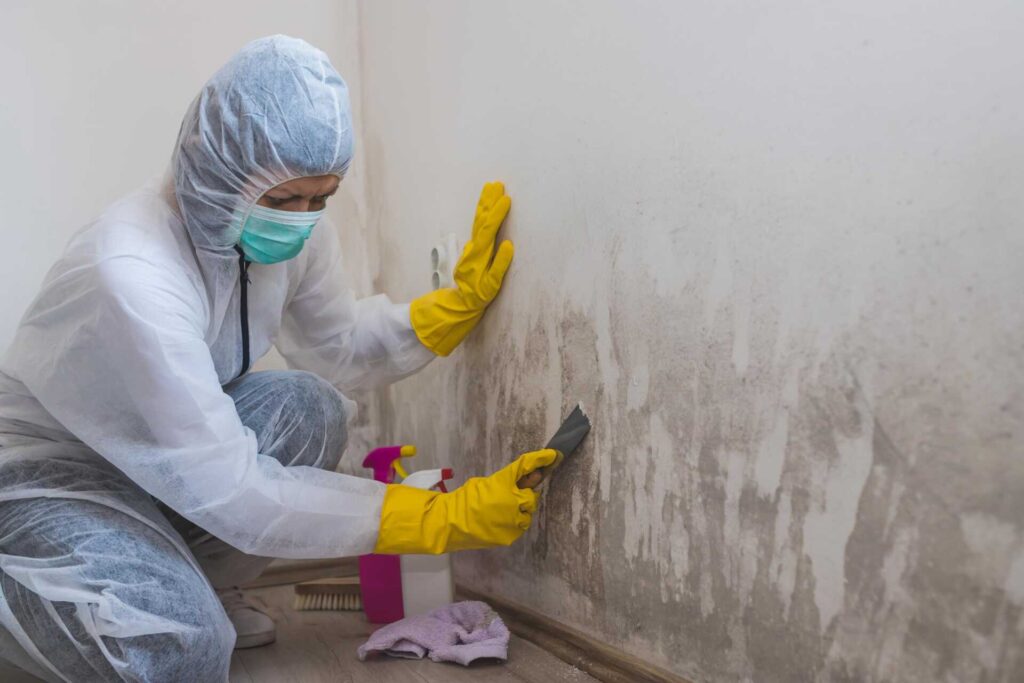 Top Mold Remediation Strategies for Homeowners