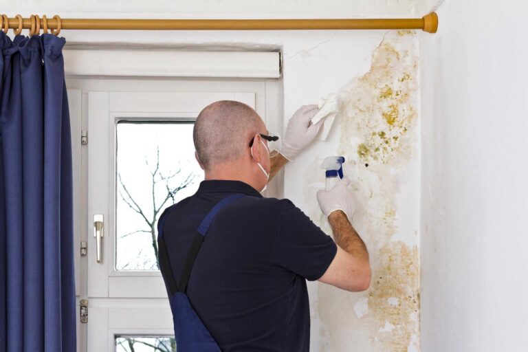 3 Key Strategies for Commercial Mold Removal