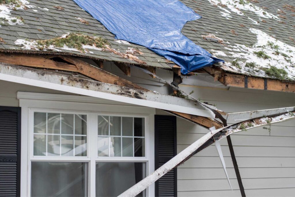 7 Best Storm Damage Repair and Mold Control Tips